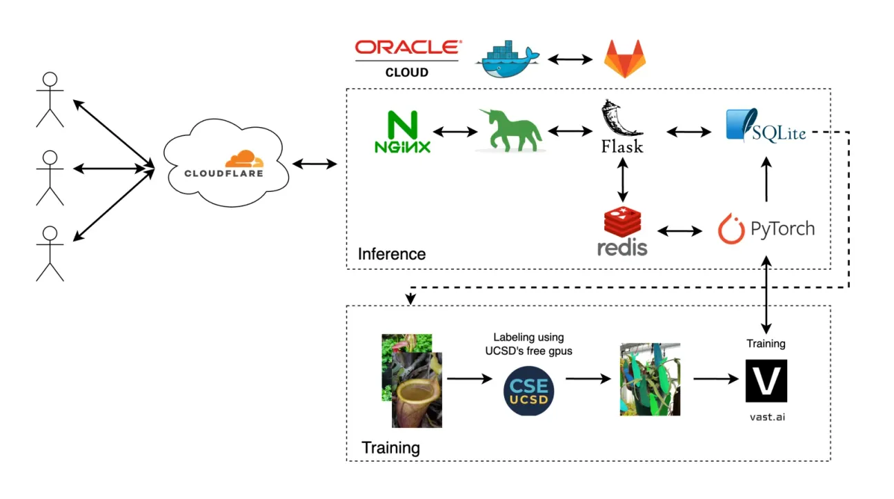 Architecture diagram. Users connect through Cloudflare to an Oracle Cloud server running Nginx, Gunicorn, Flask, Redis, PyTorch and SQLite. Below, the training pipeline: pitcher photos are labelled on UC San Diego's GPUs, then used to train the models on vast.ai.